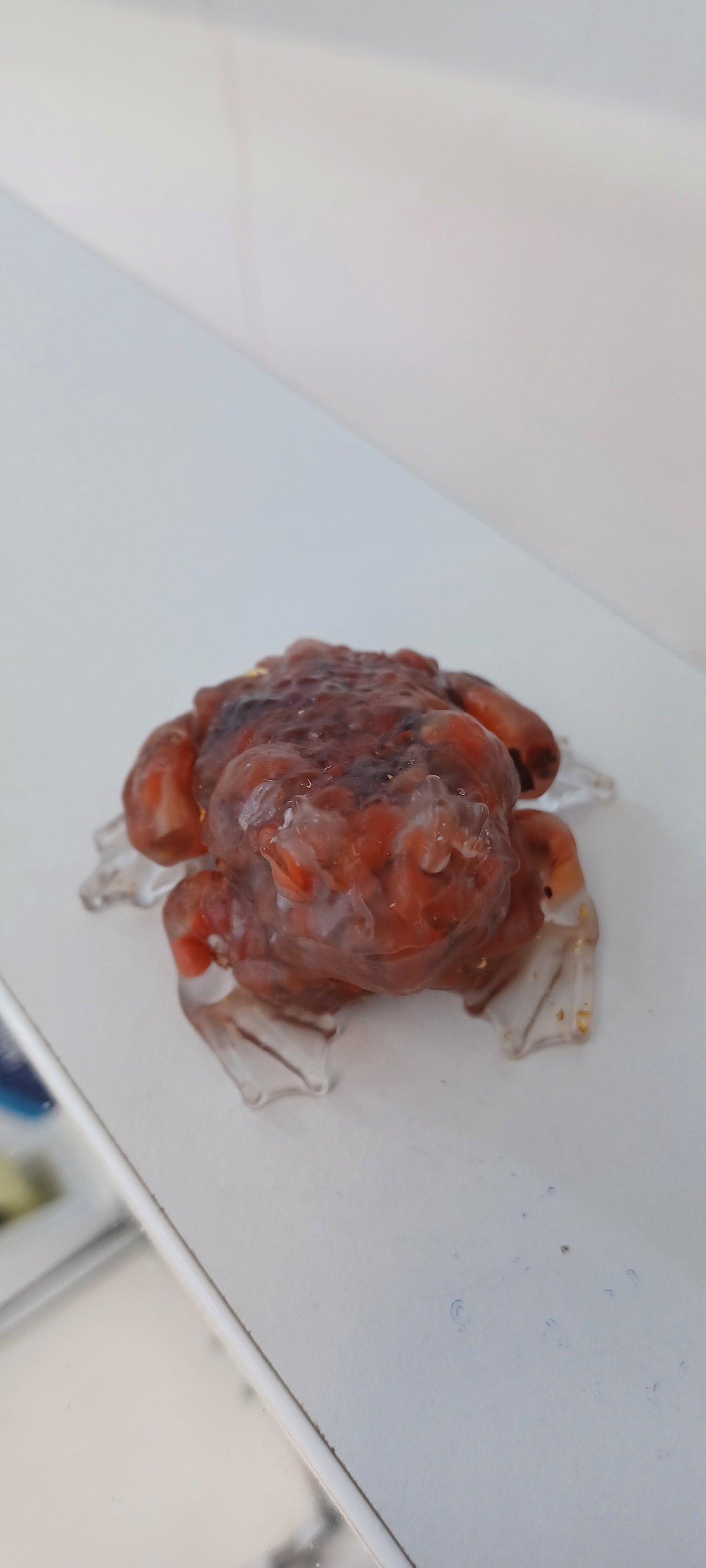 Toad