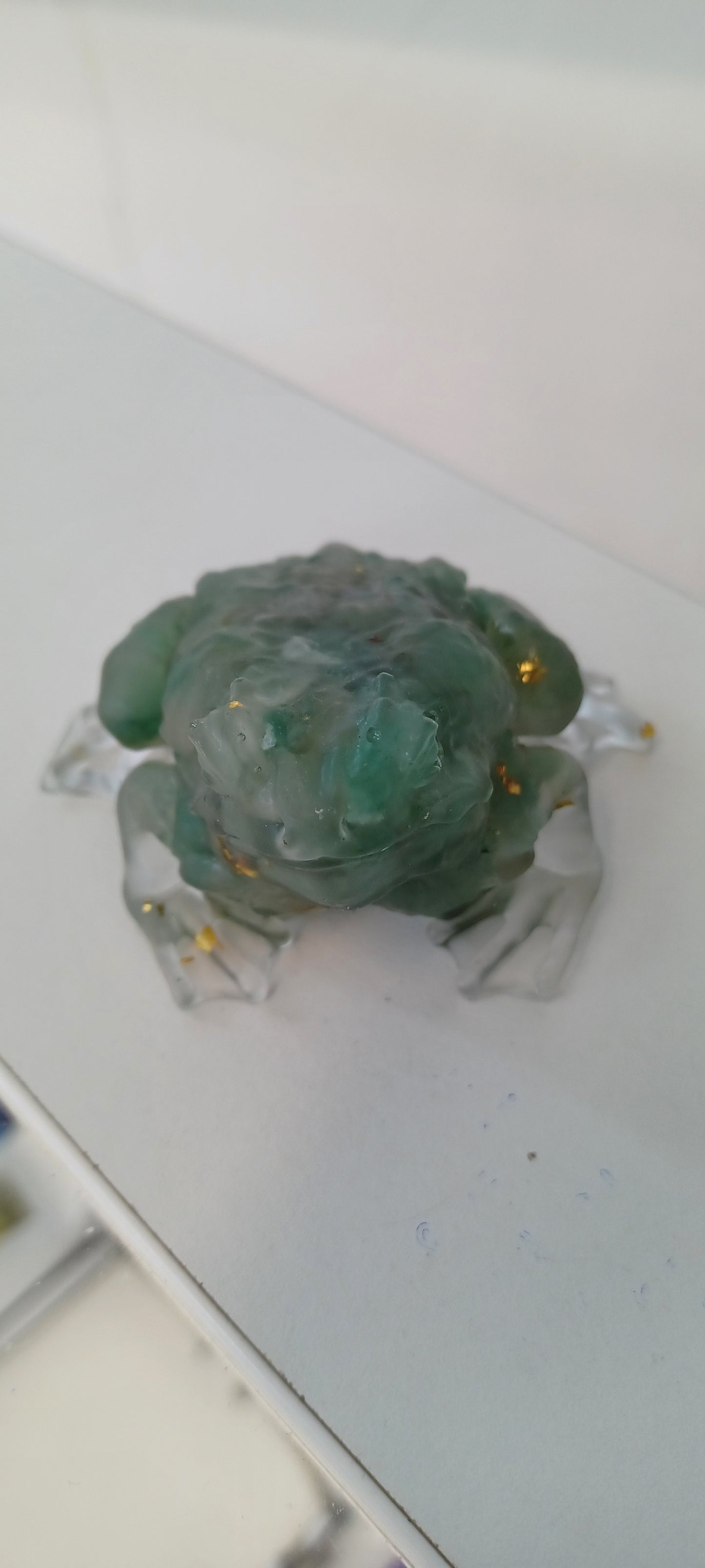 Toad