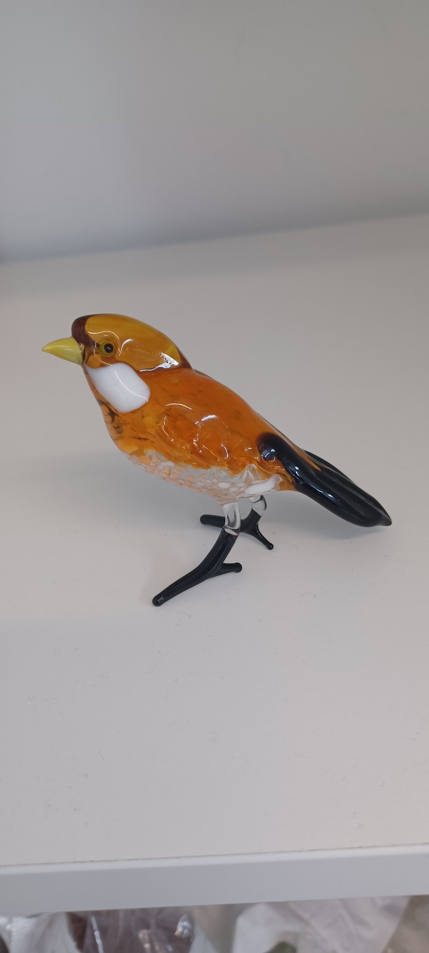 Glass Bird