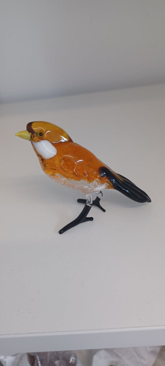 Glass Bird