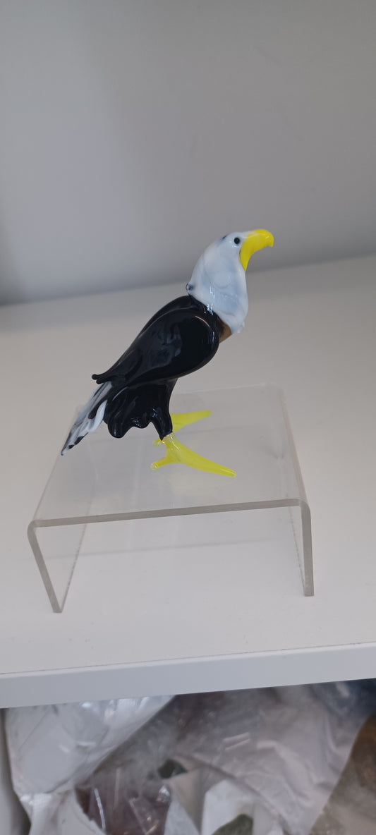 Glass Bird