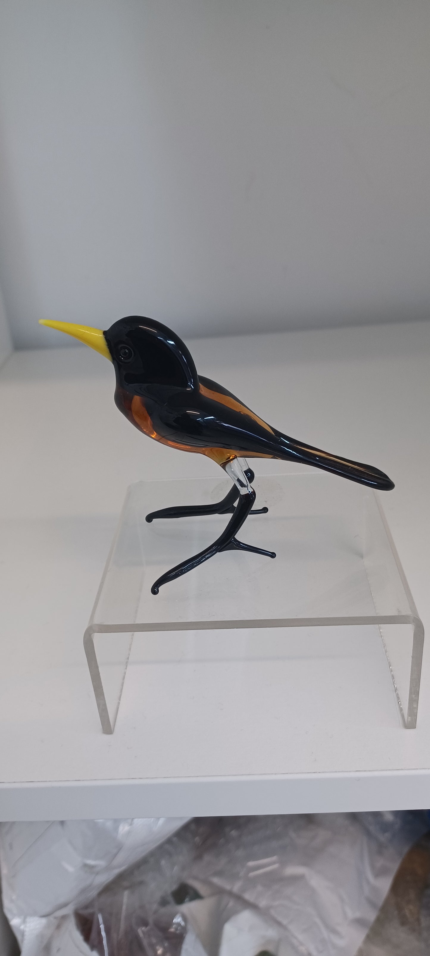 Glass Bird