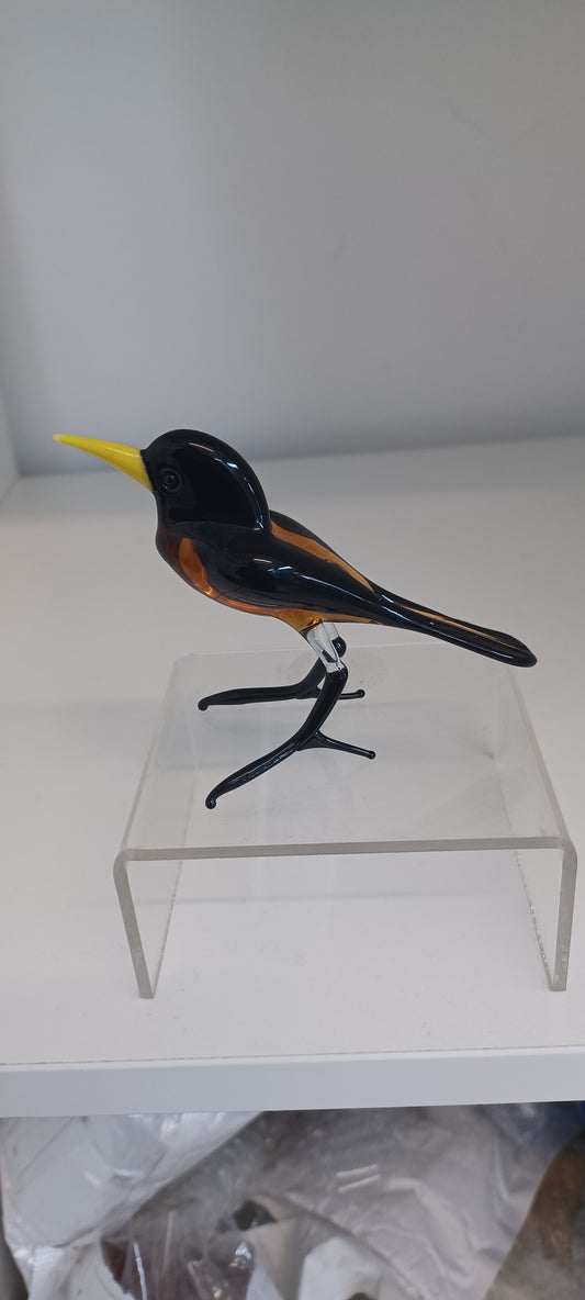 Glass Bird