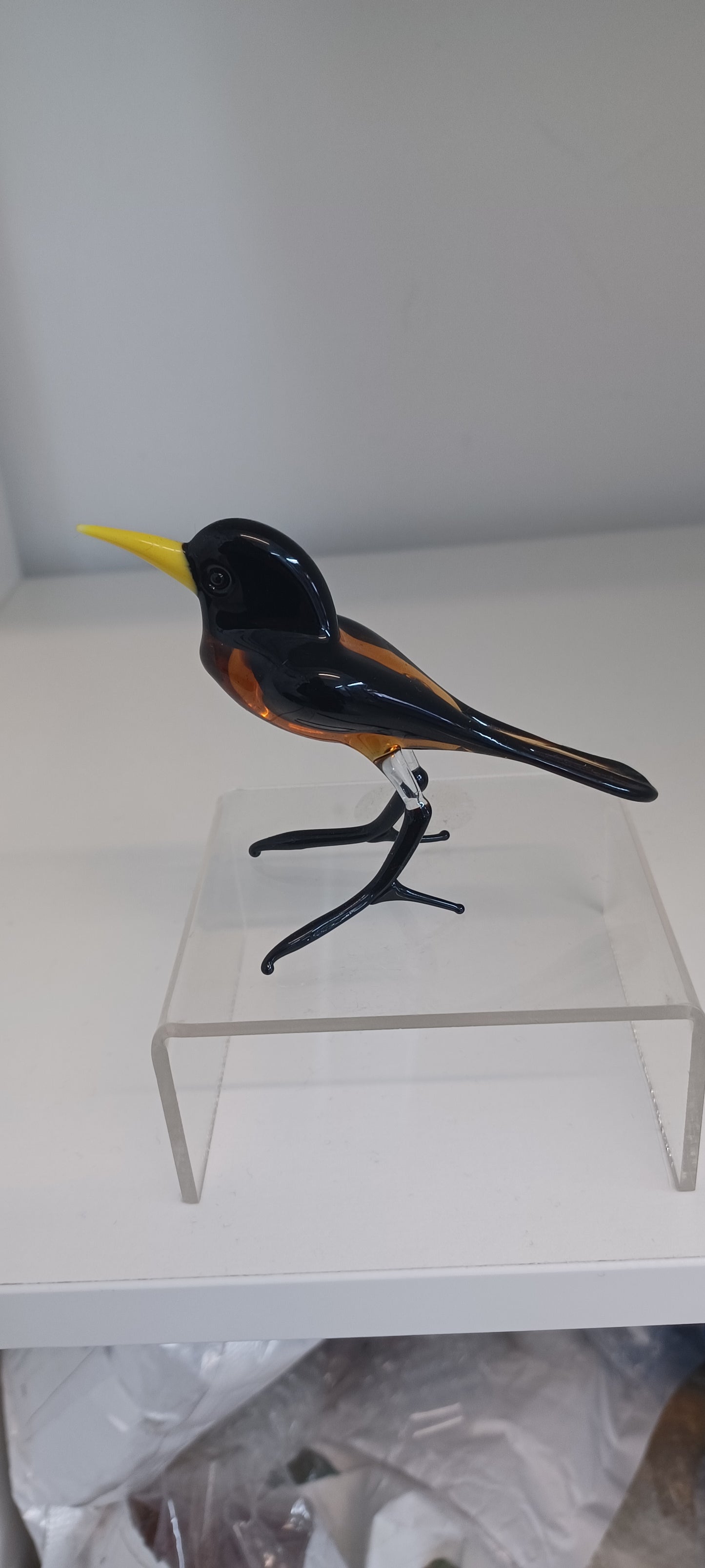 Glass Bird