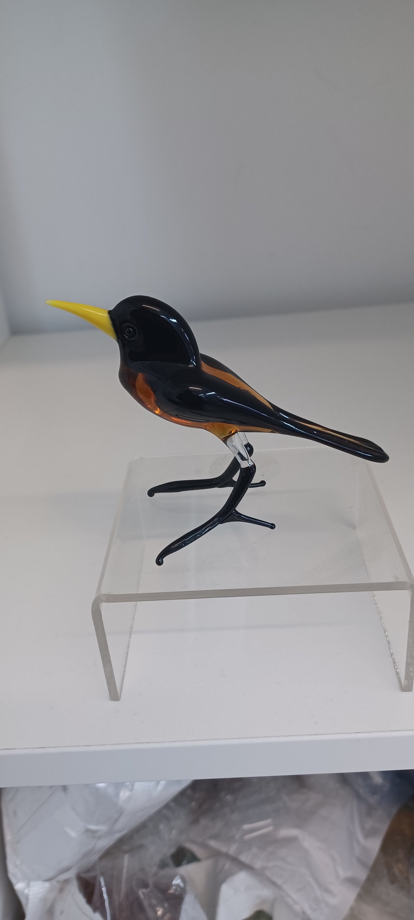 Glass Bird