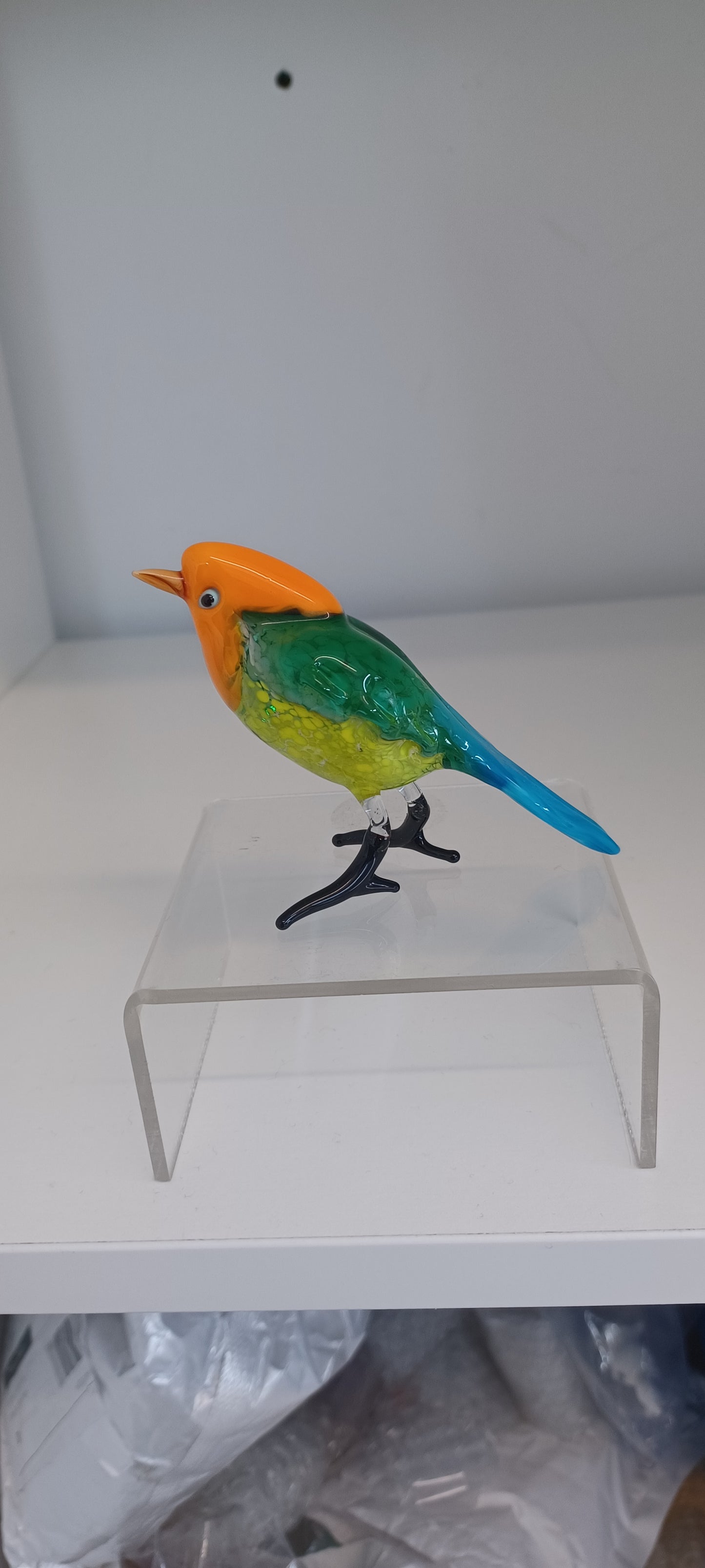 Glass Bird