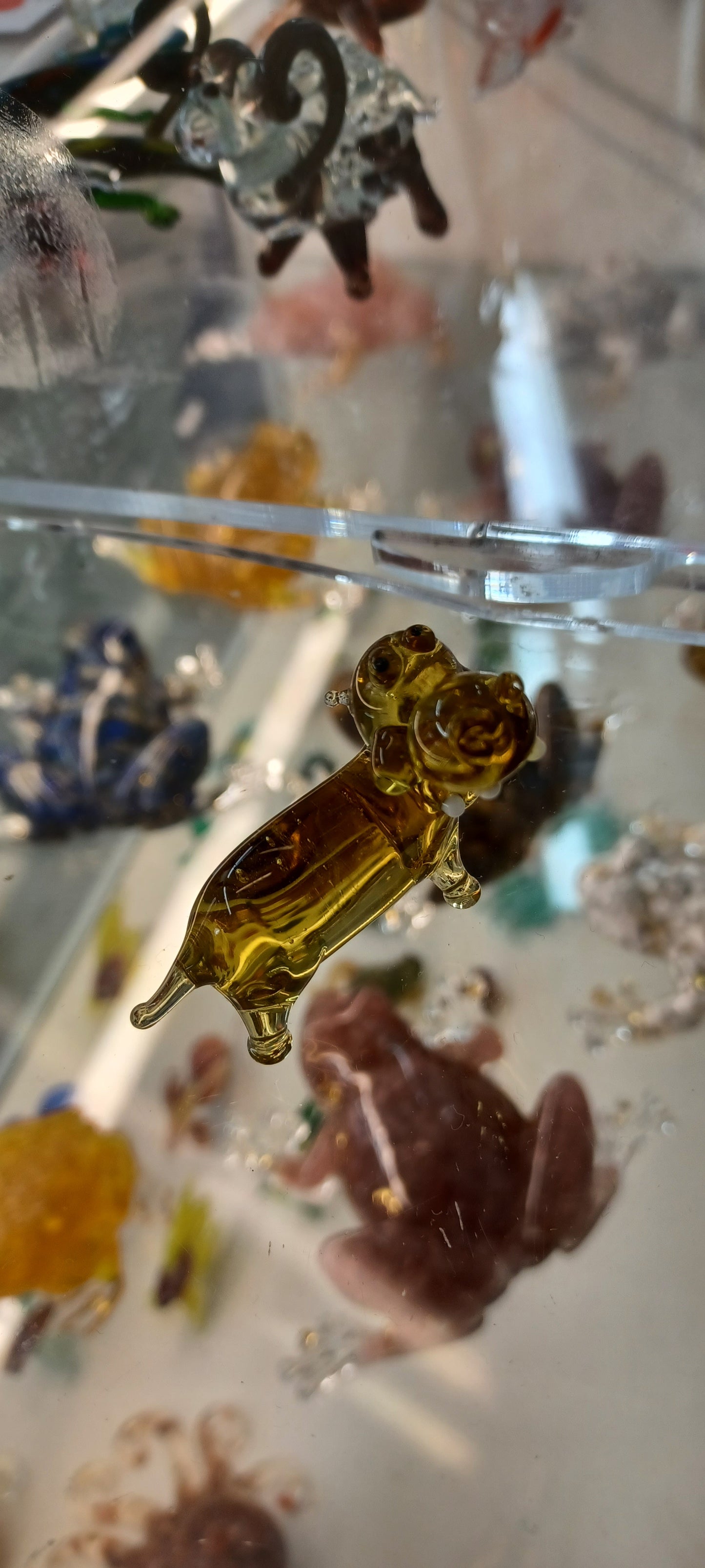 Glass Hippopotamus