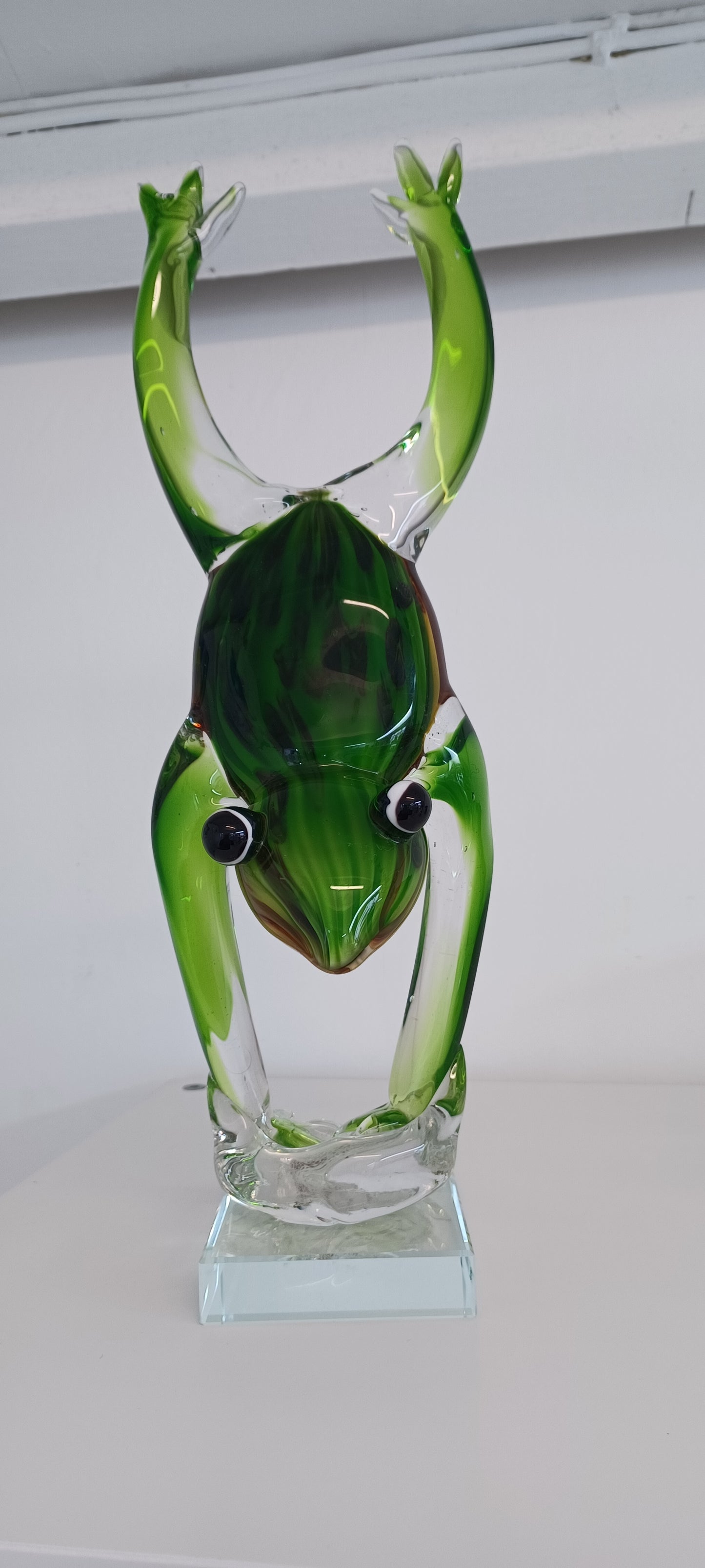 Glass Frog