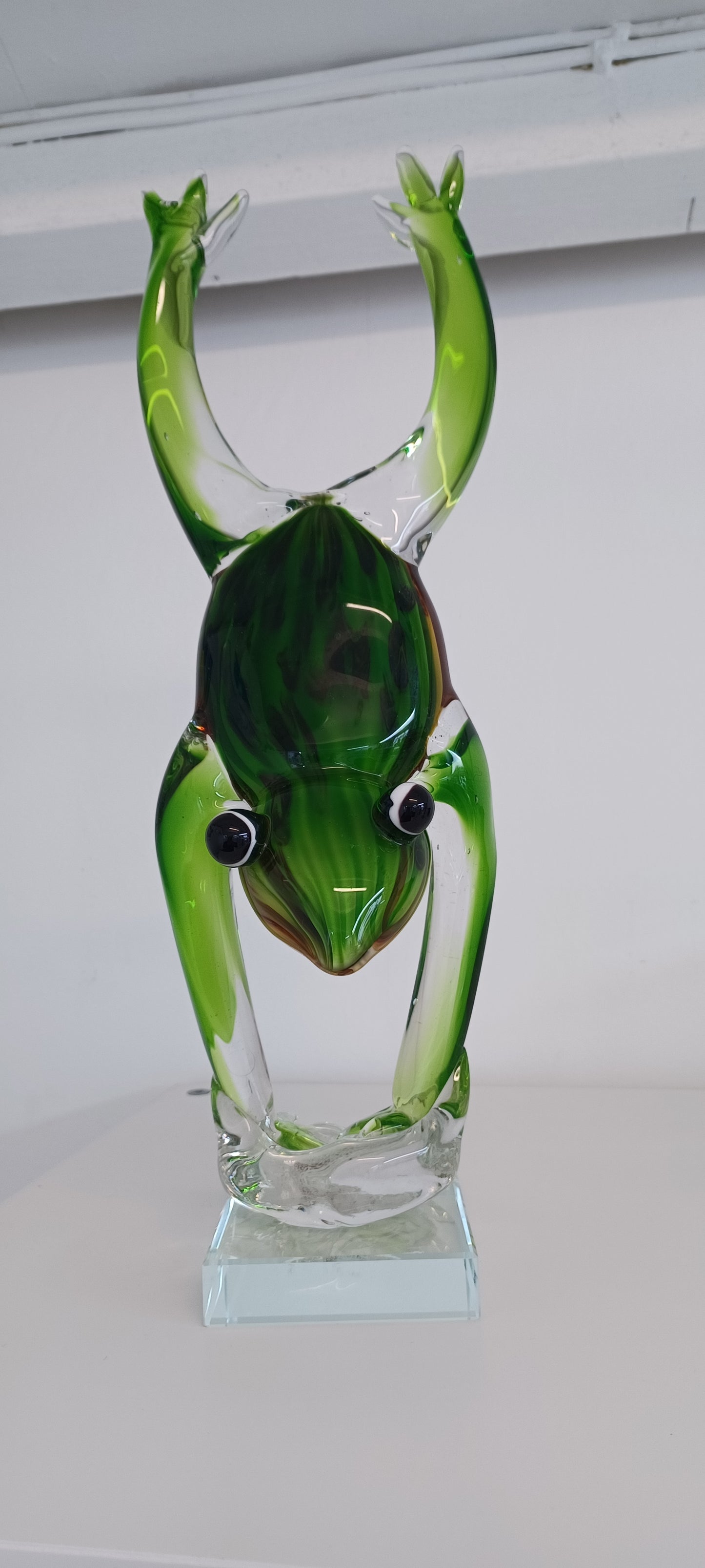 Glass Frog