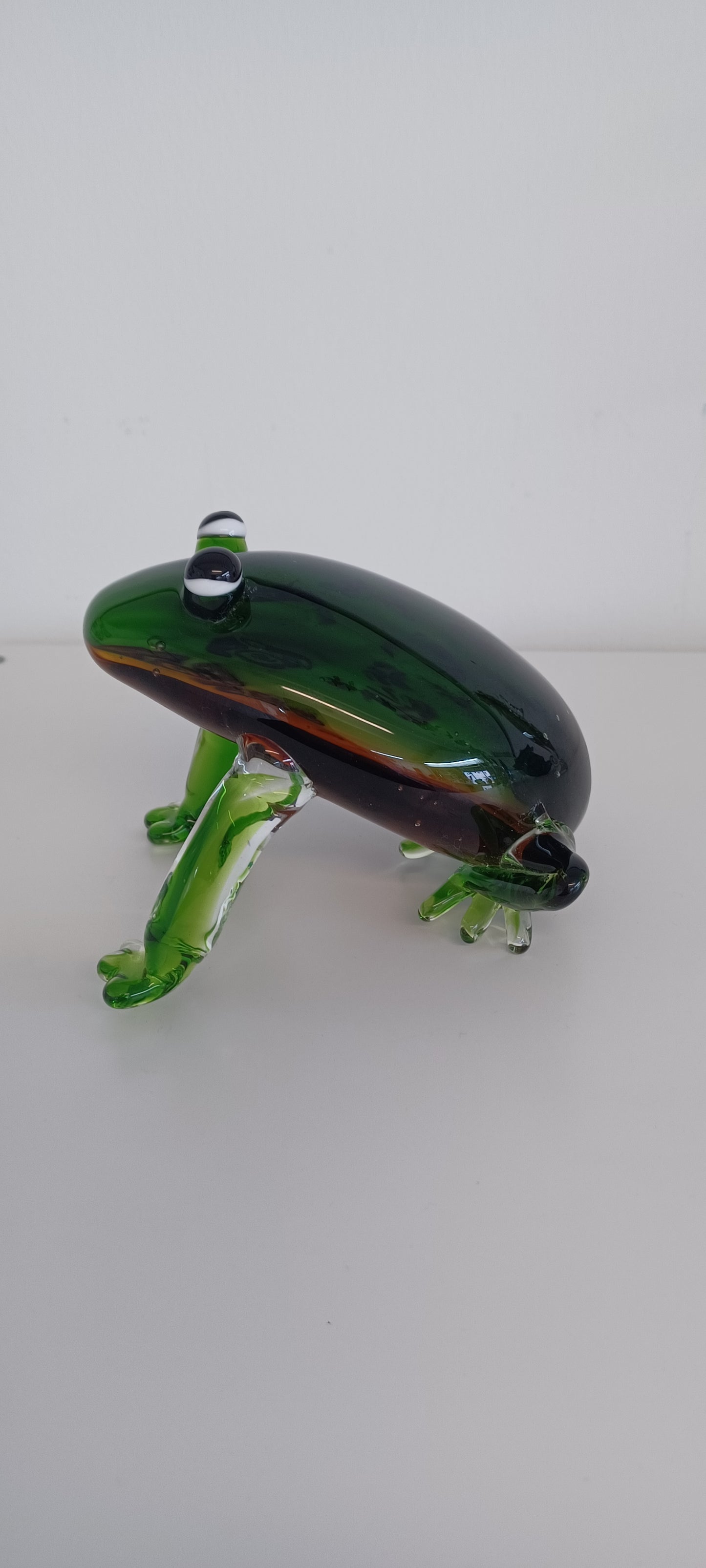 Glass Frog