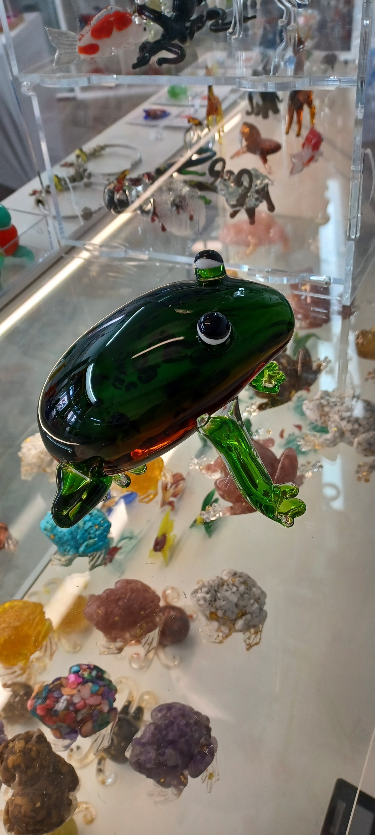 Glass Frog