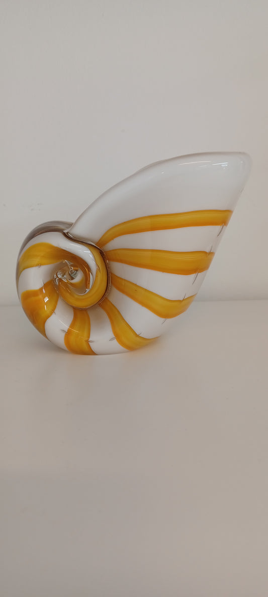 Glass Shell