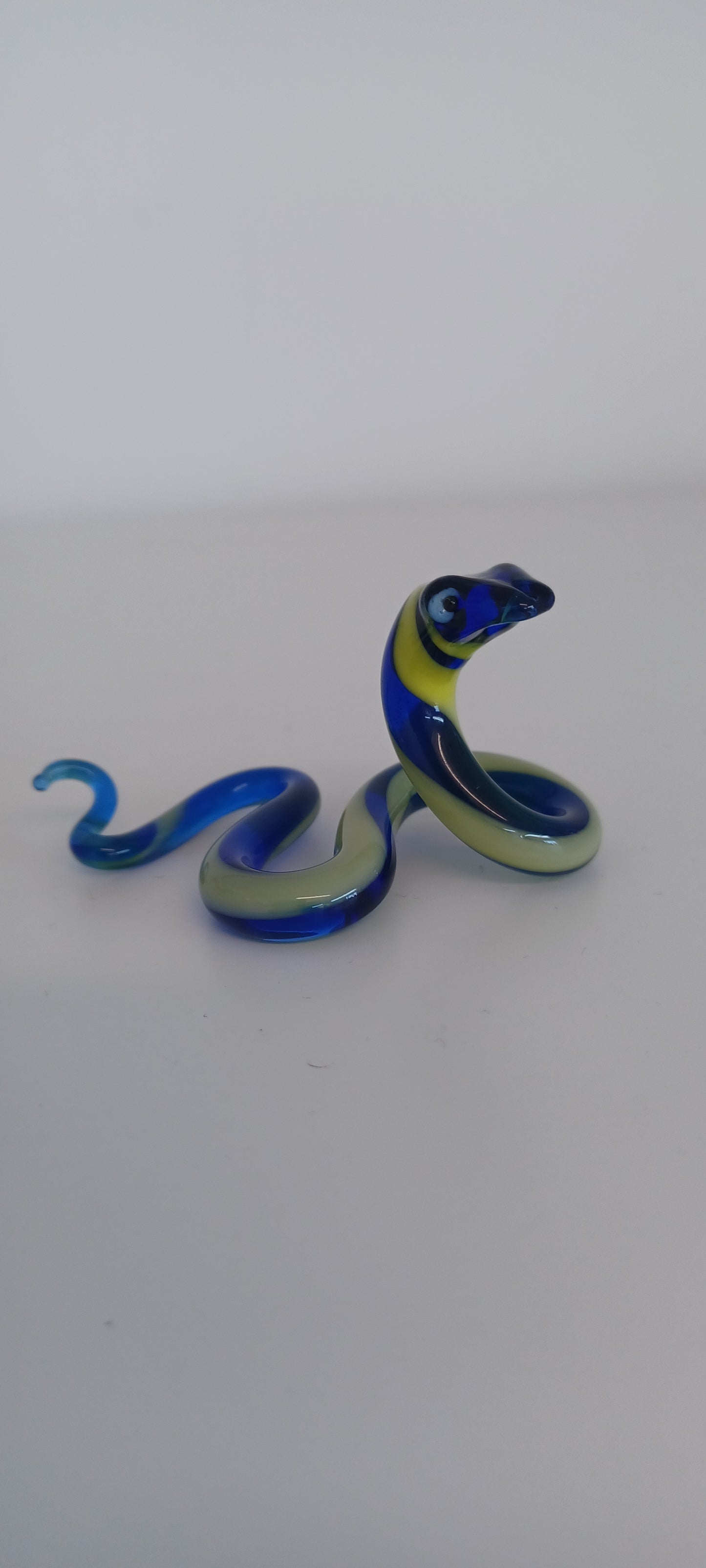 Glass Snake