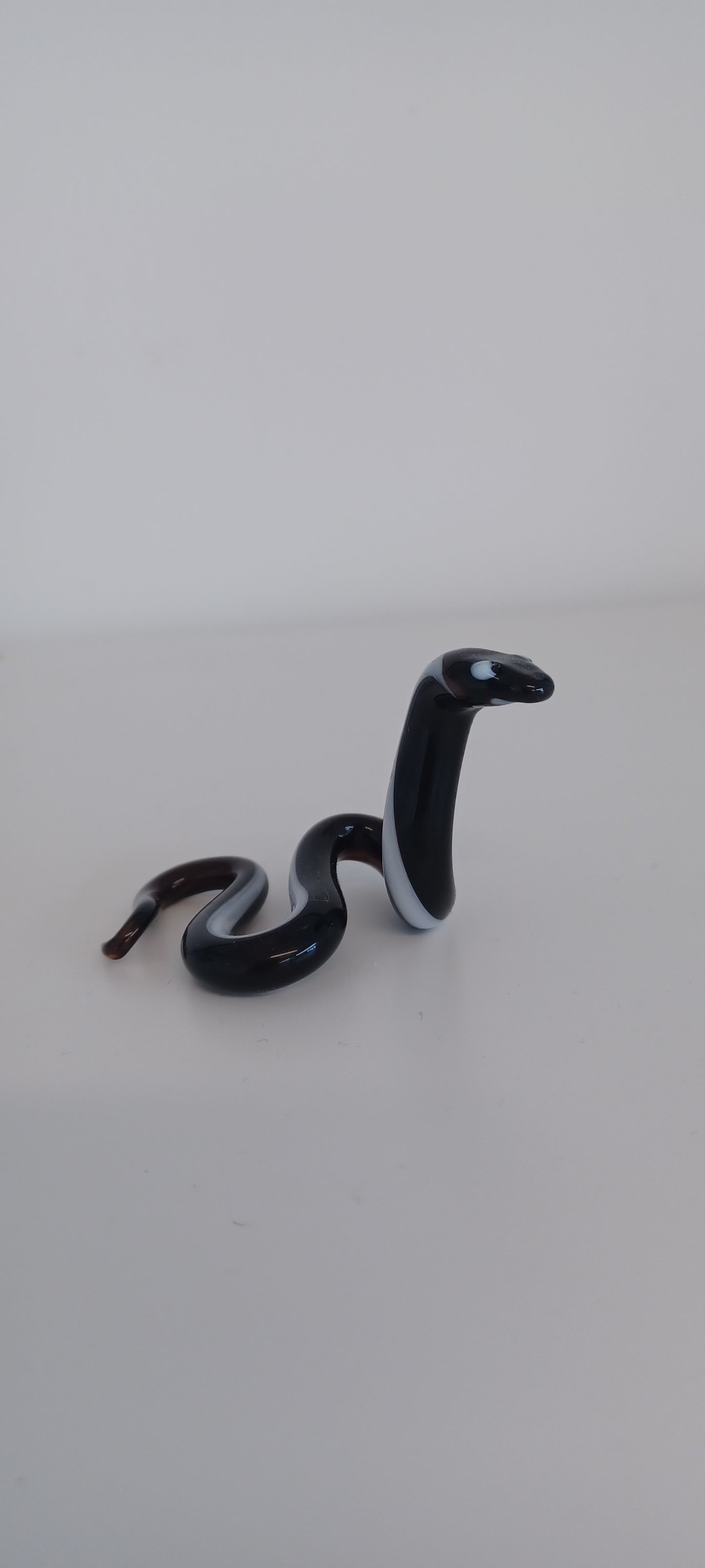 Glass Snake