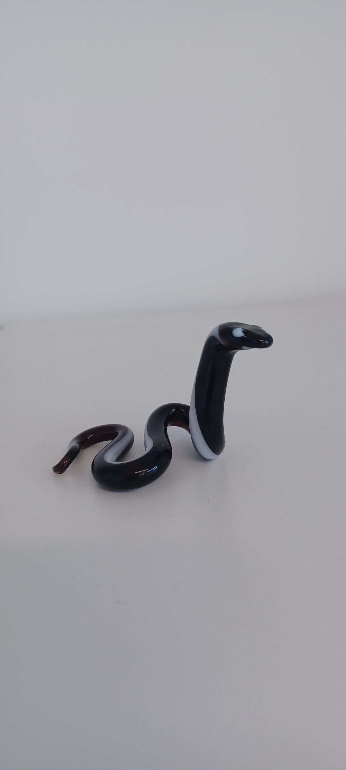 Glass Snake