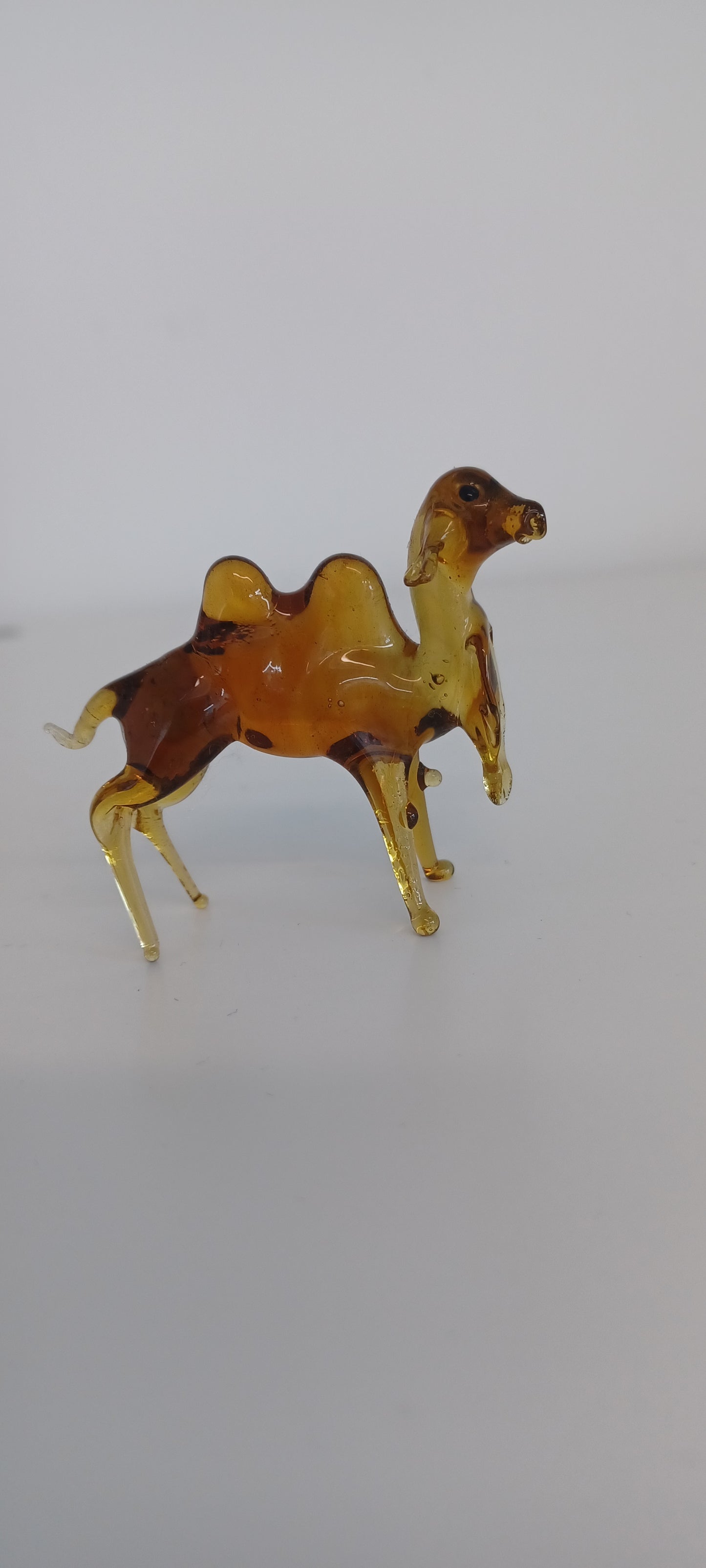 Glass Camel
