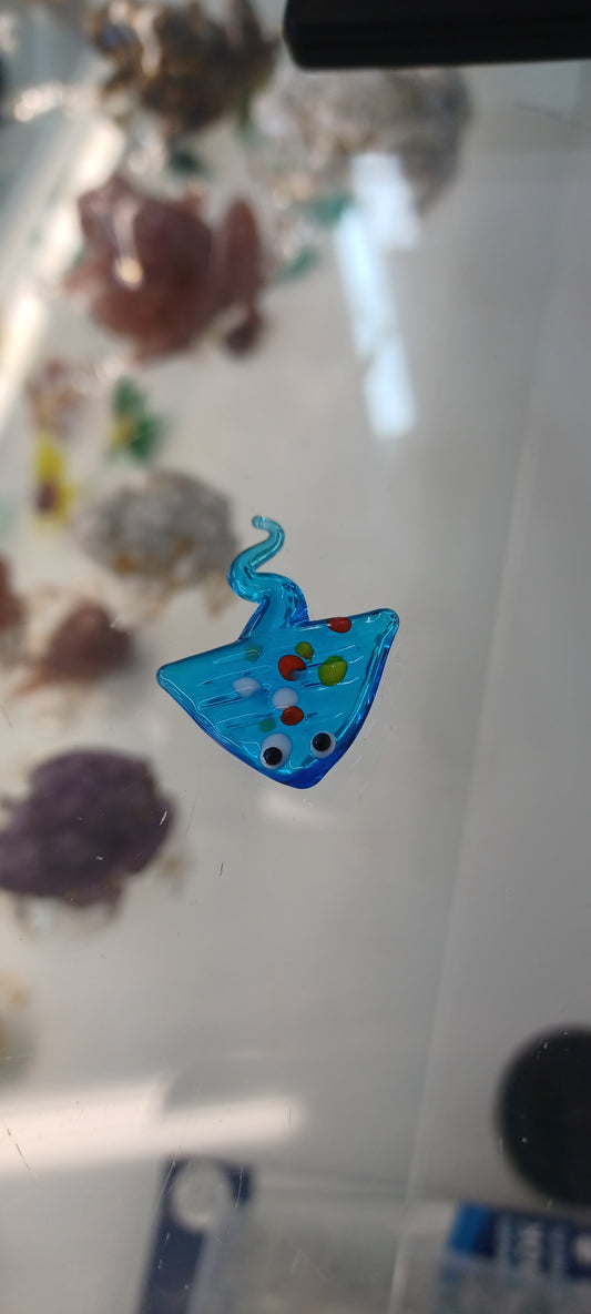 Glass Stingray
