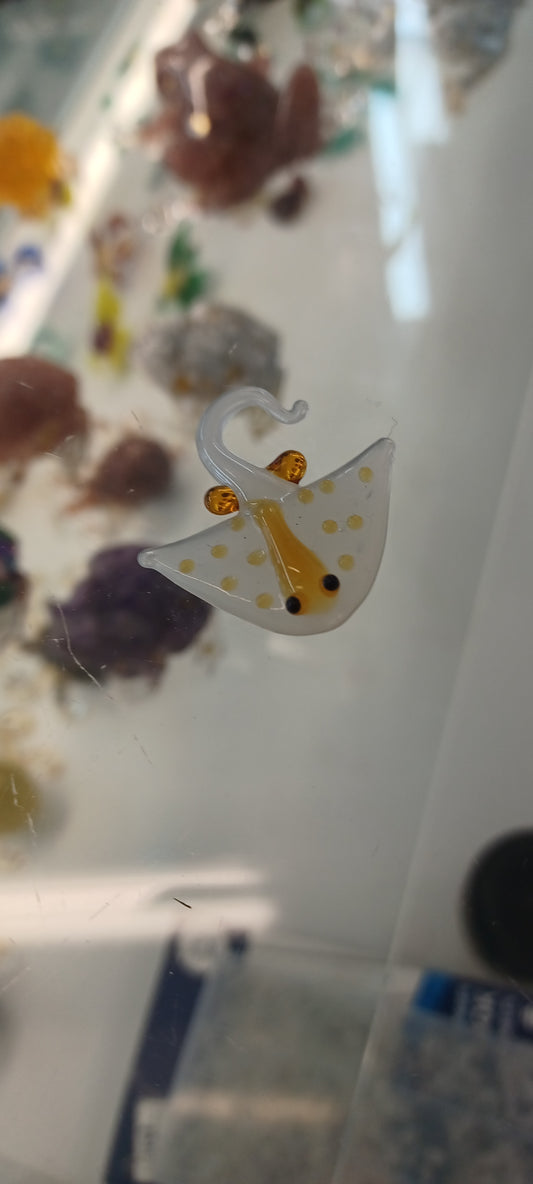 Glass Stingray
