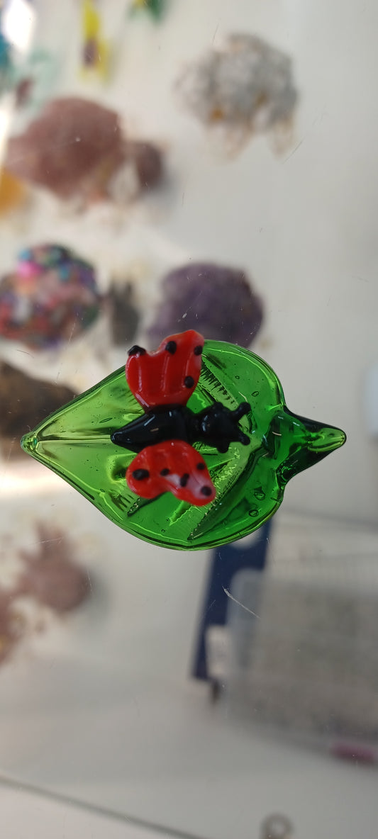 Glass Butterfly
