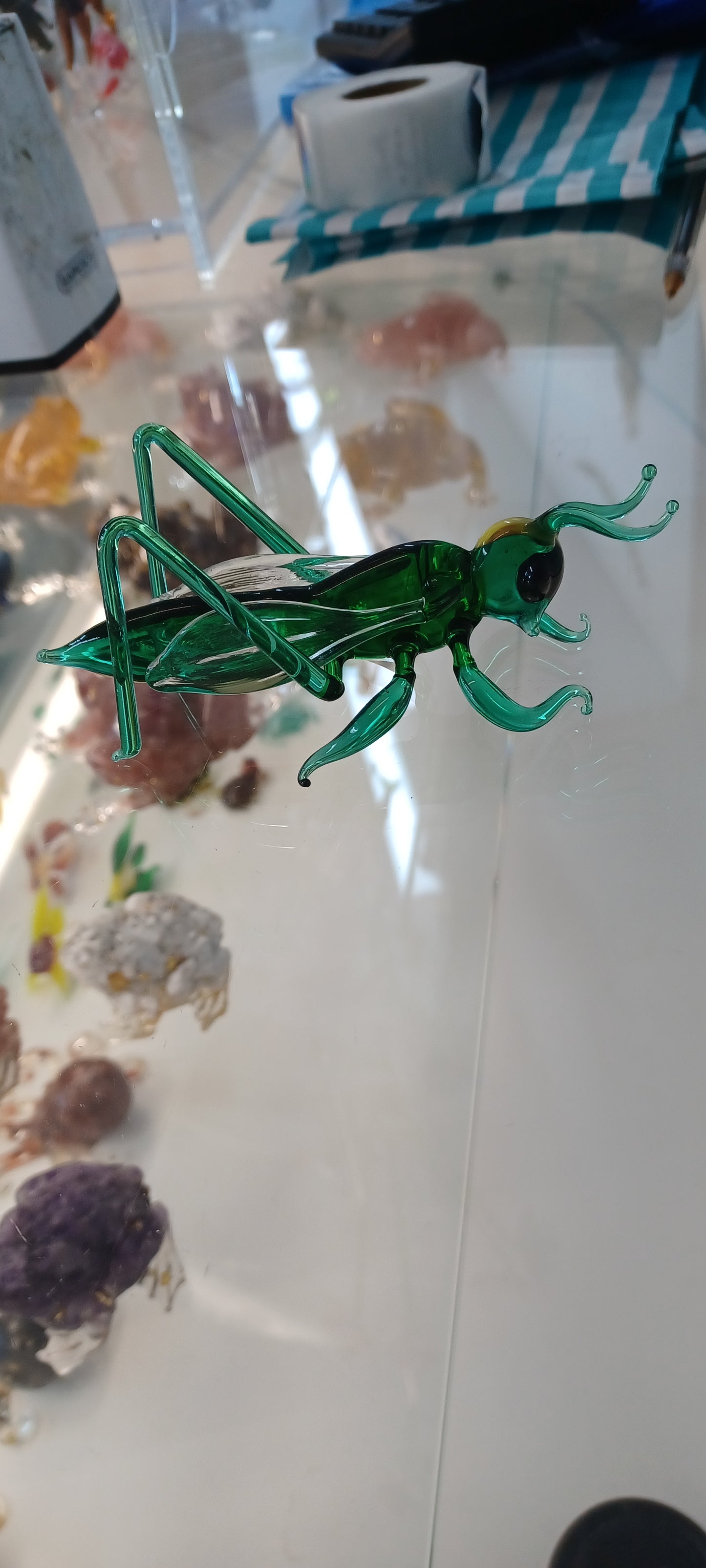 Glass Grasshopper