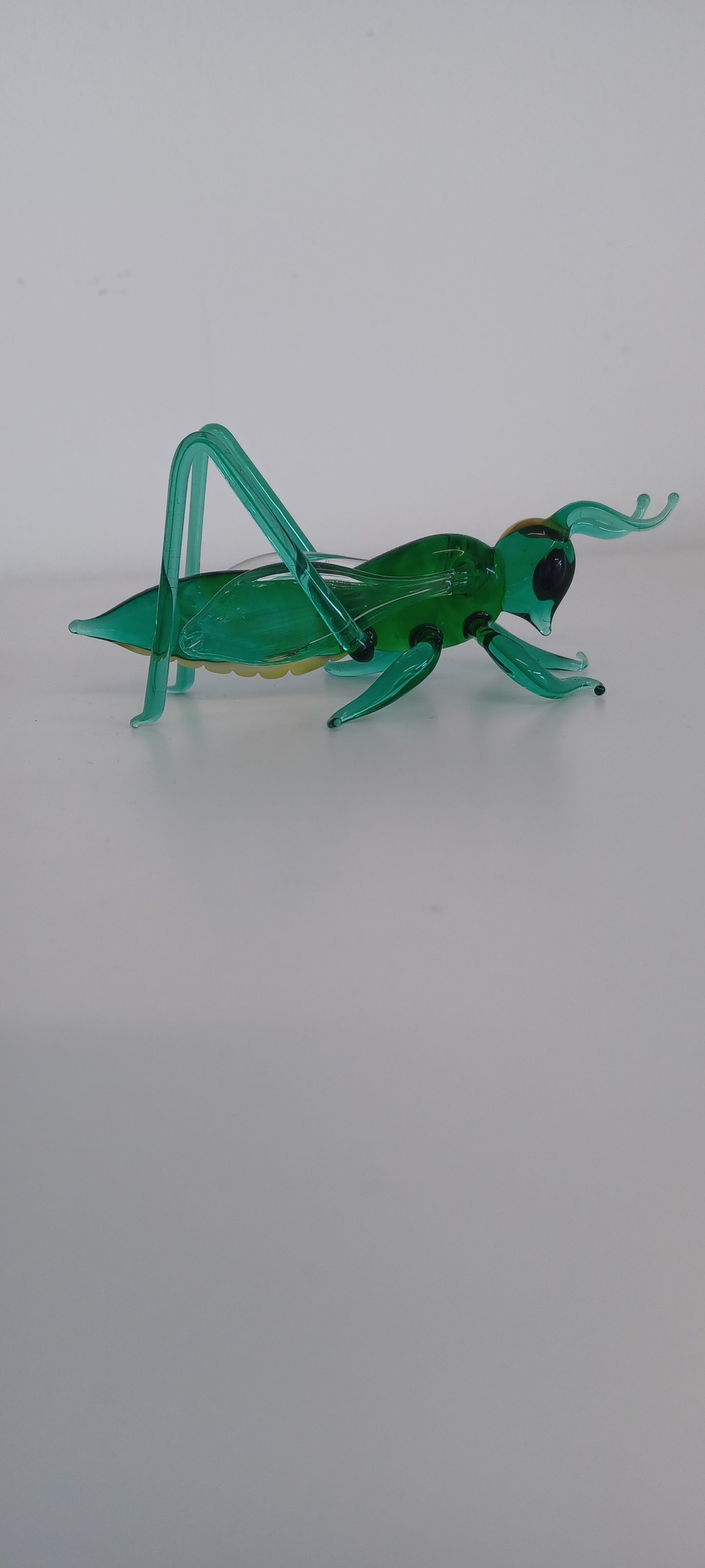 Glass Grasshopper