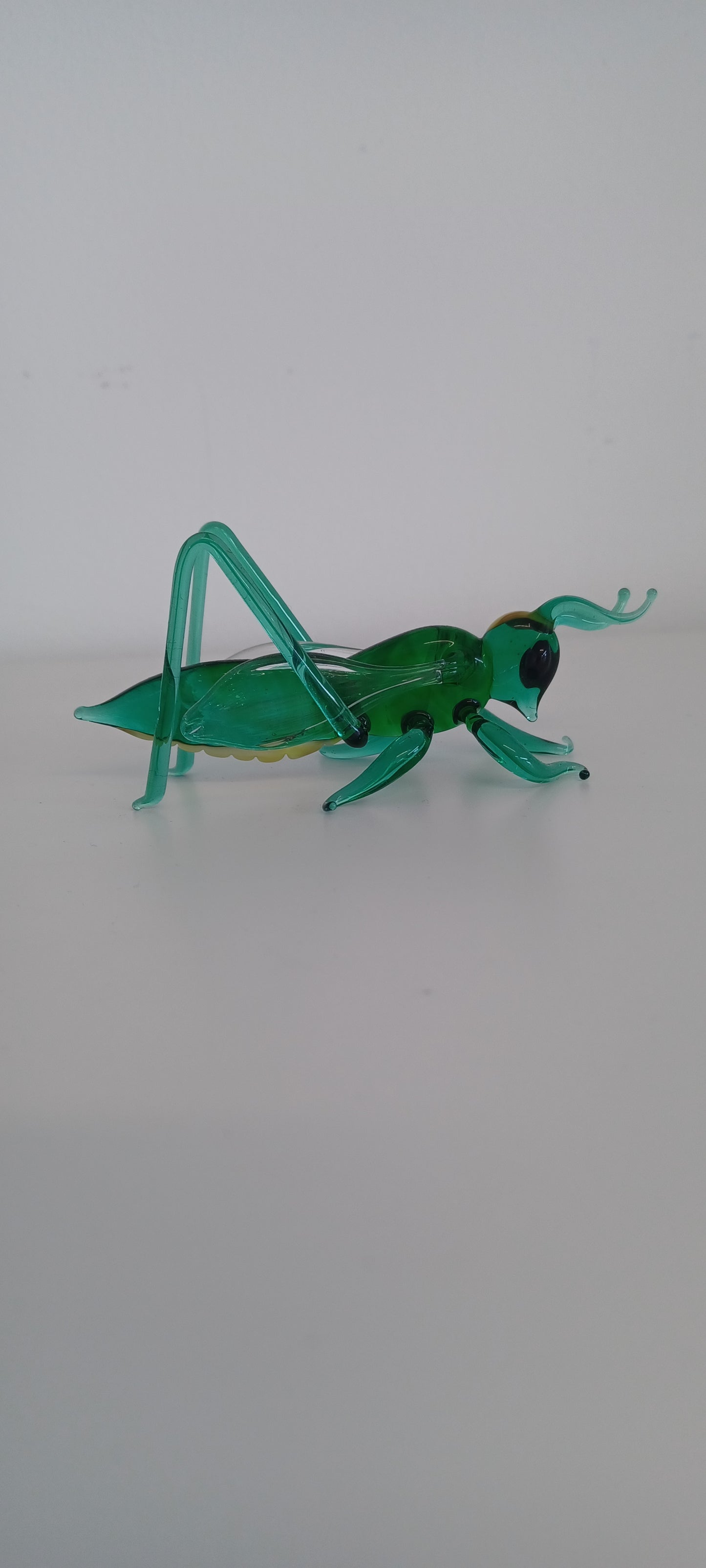 Glass Grasshopper