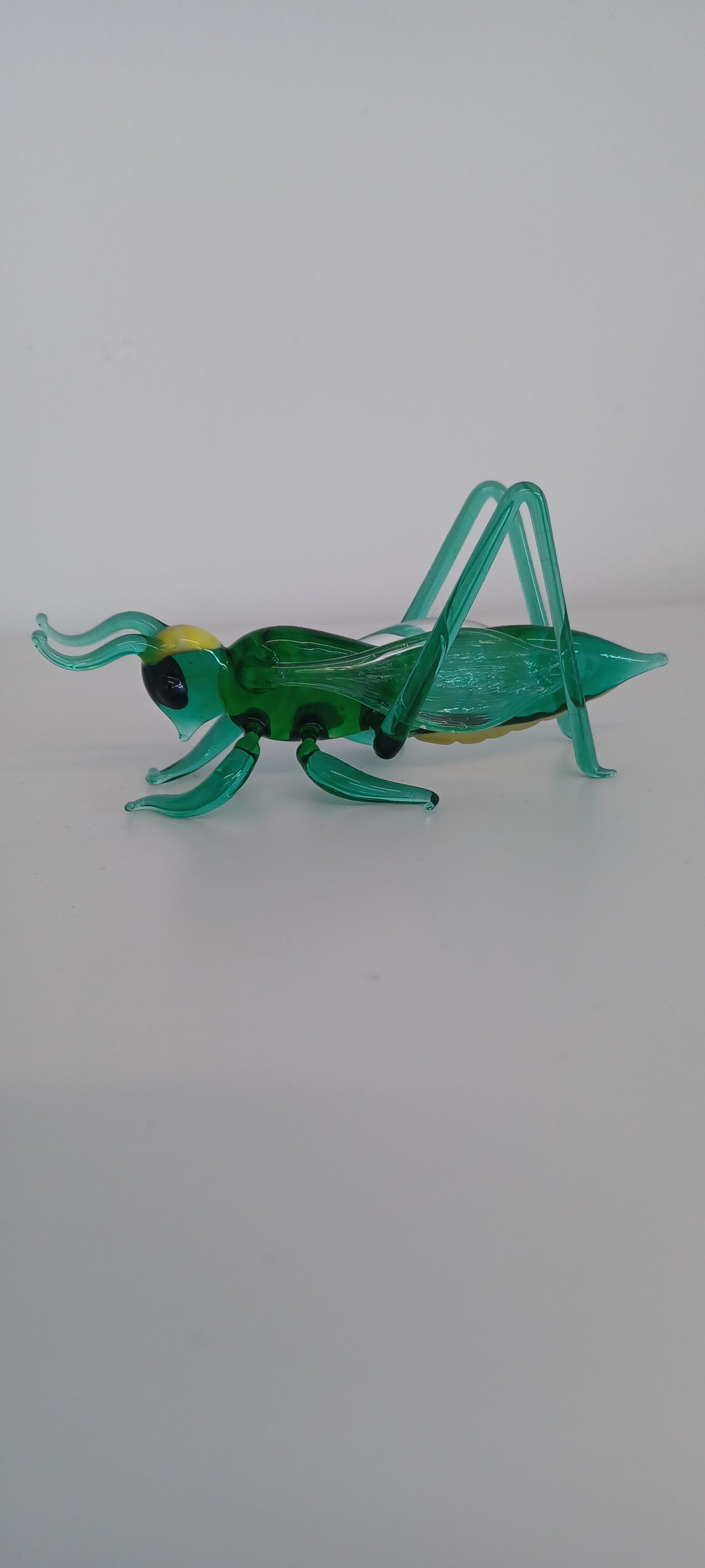 Glass Grasshopper