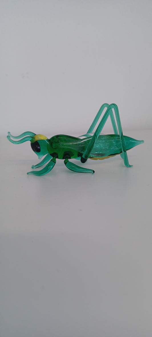 Glass Grasshopper