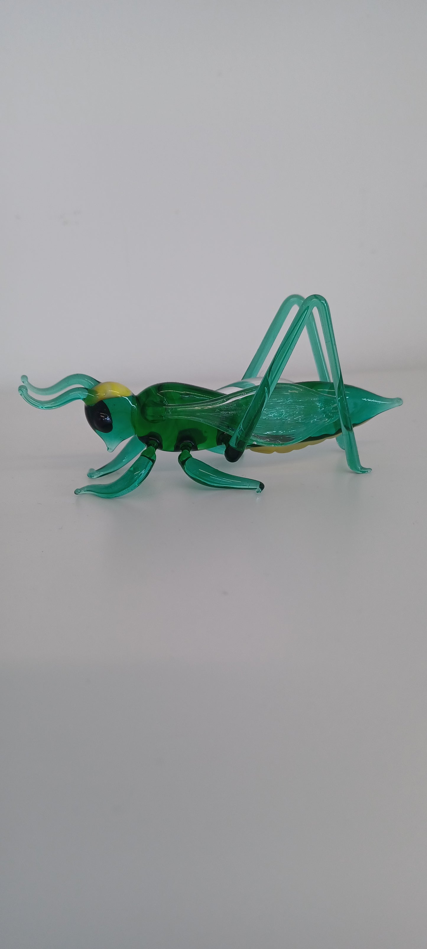 Glass Grasshopper