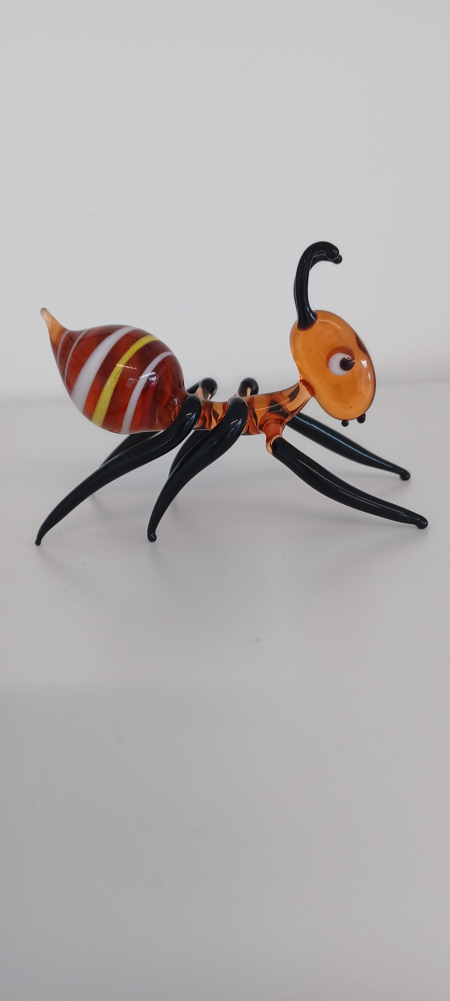 Glass Ant