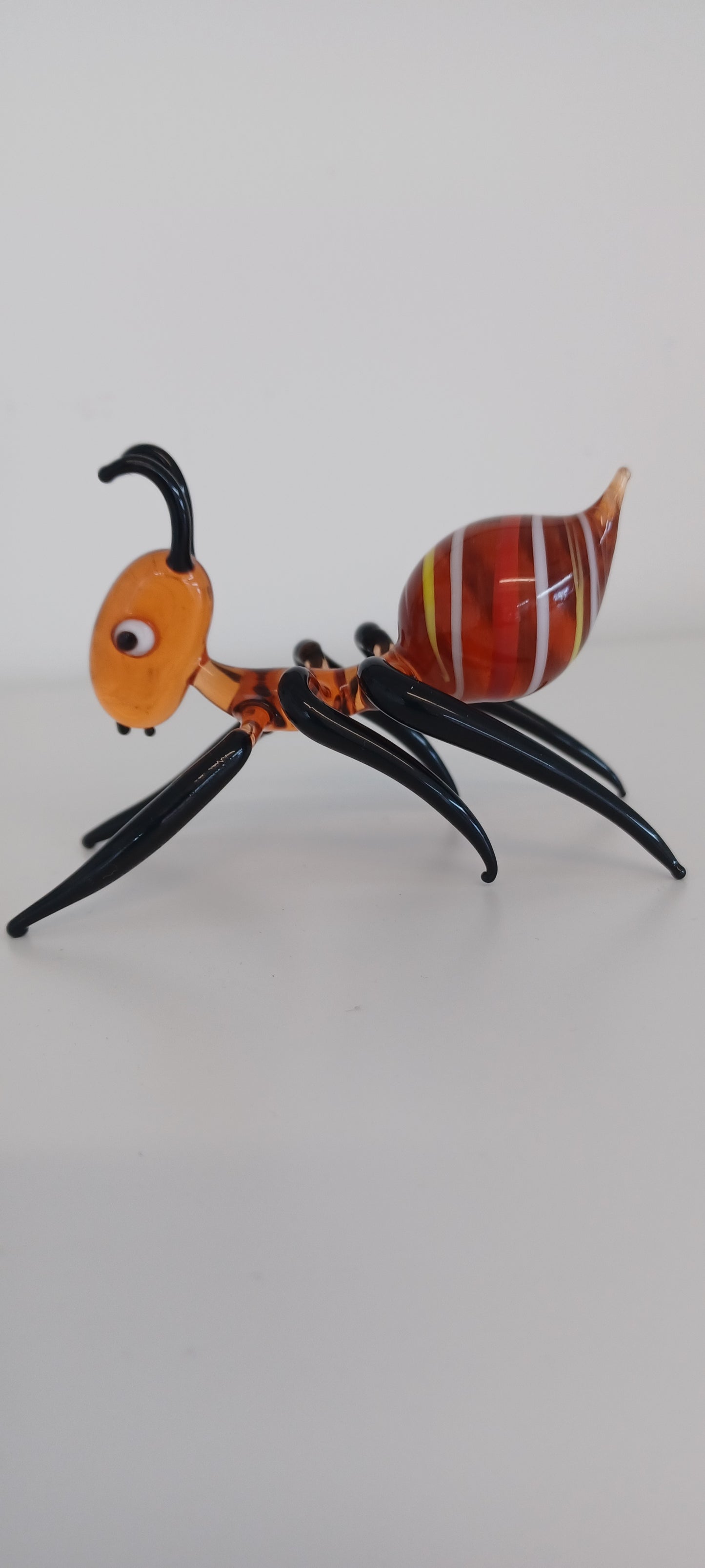 Glass Ant