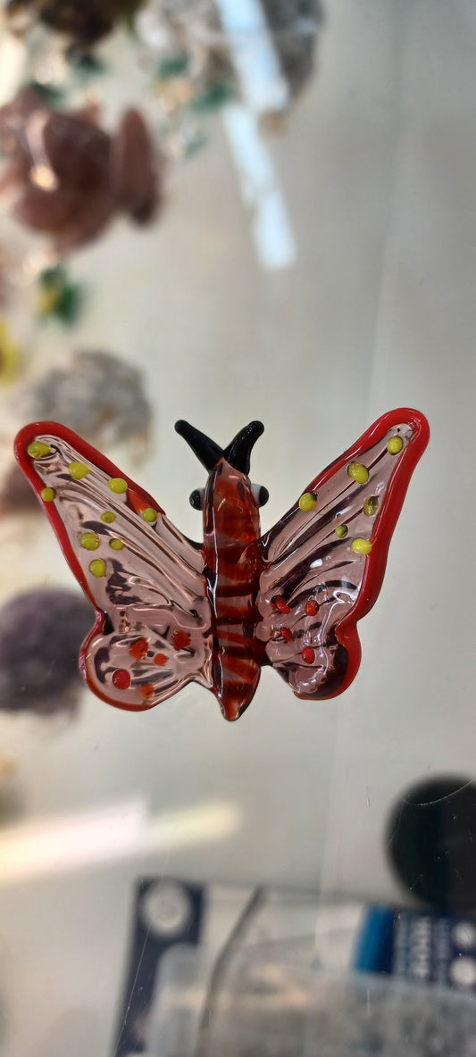 Glass Butterfly