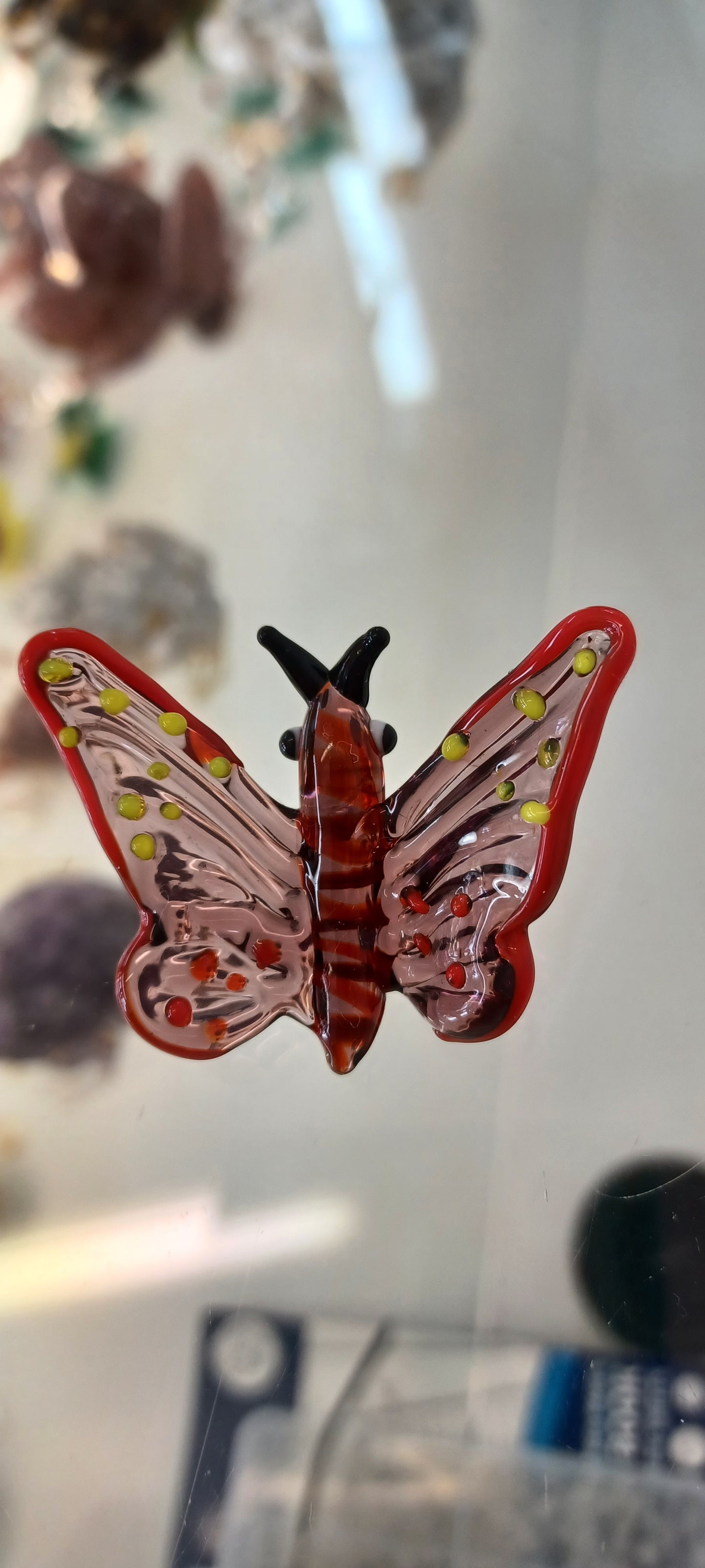 Glass Butterfly