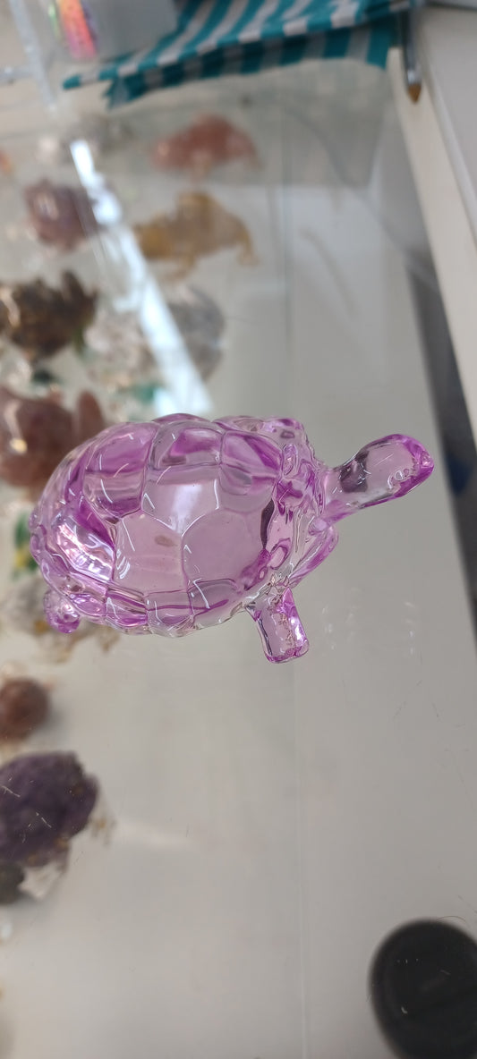 Glass Tortoise