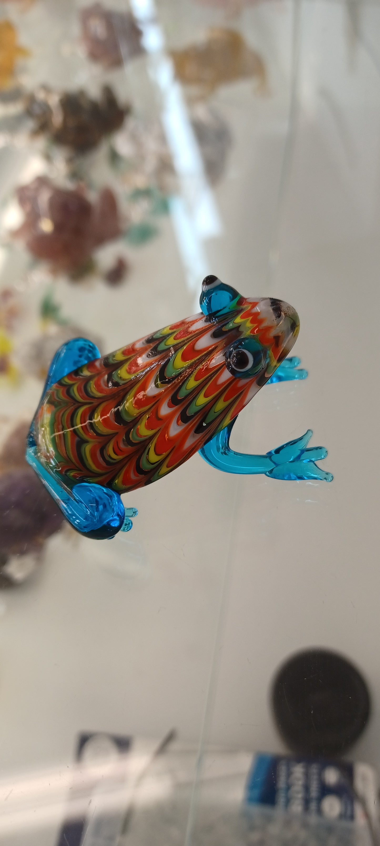 Glass Frog