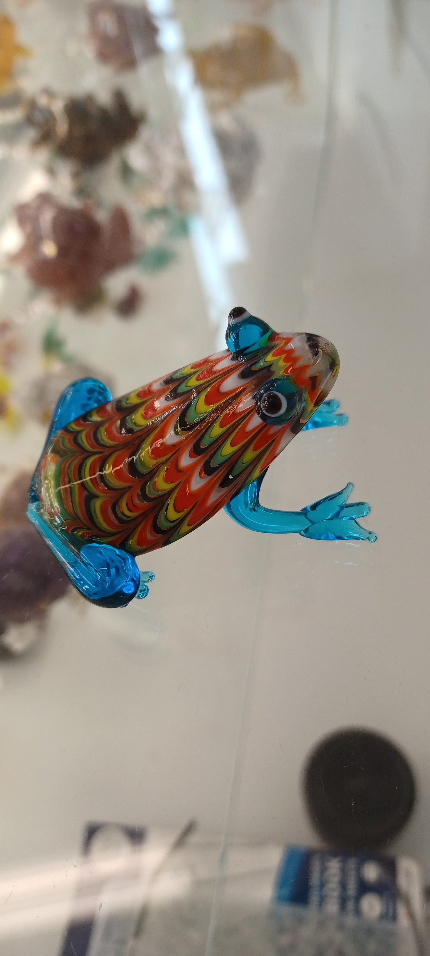 Glass Frog