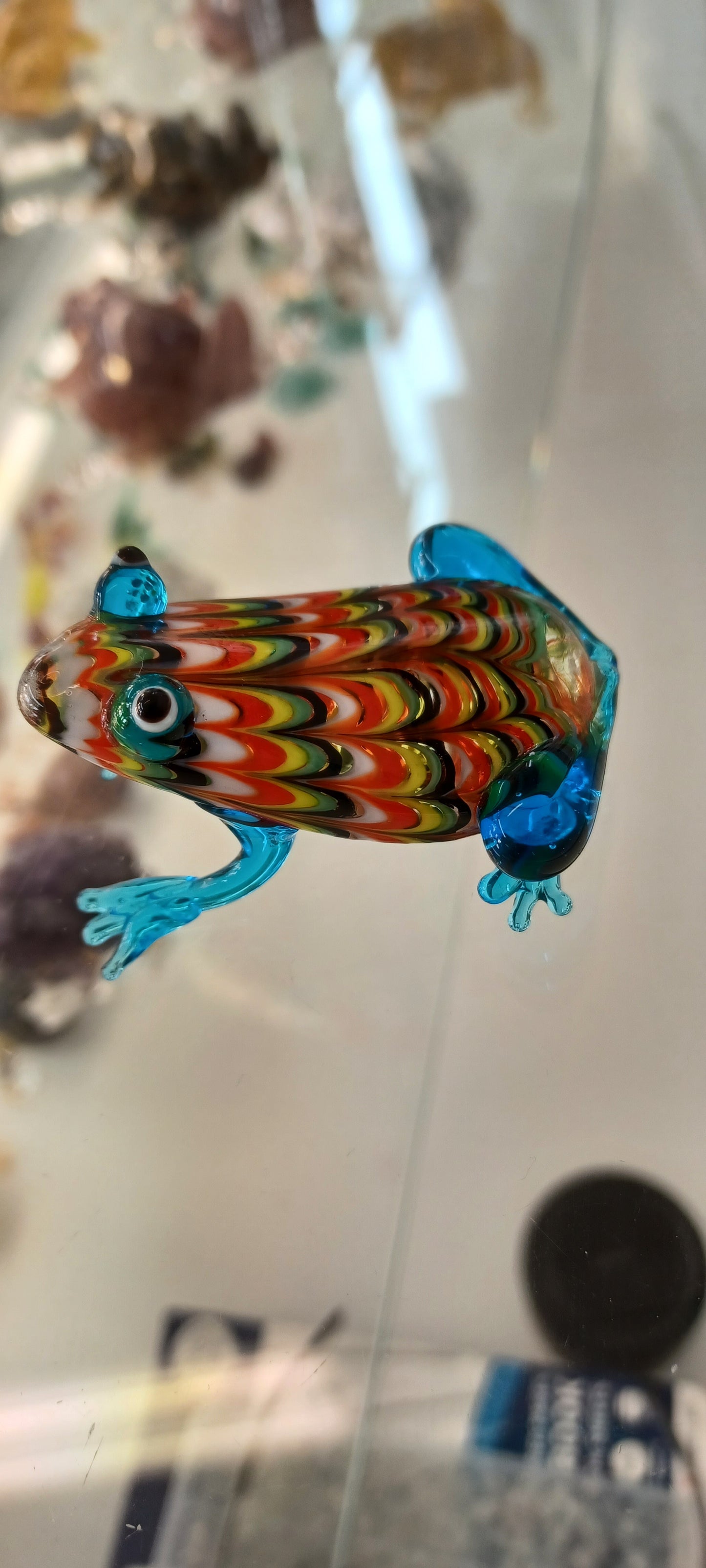 Glass Frog