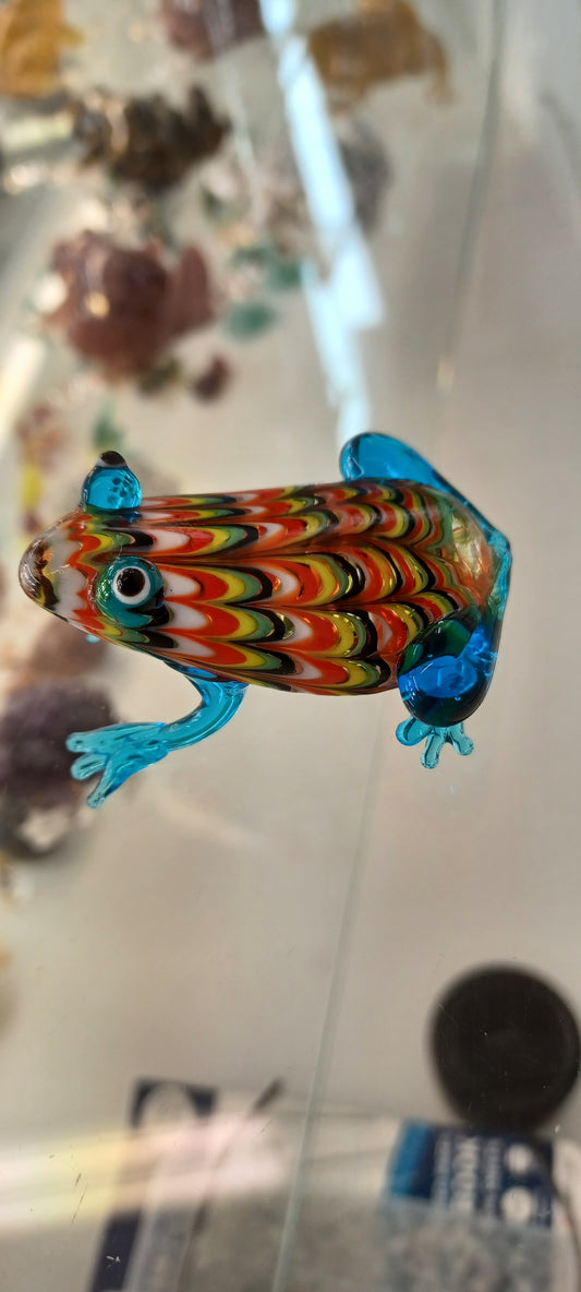 Glass Frog