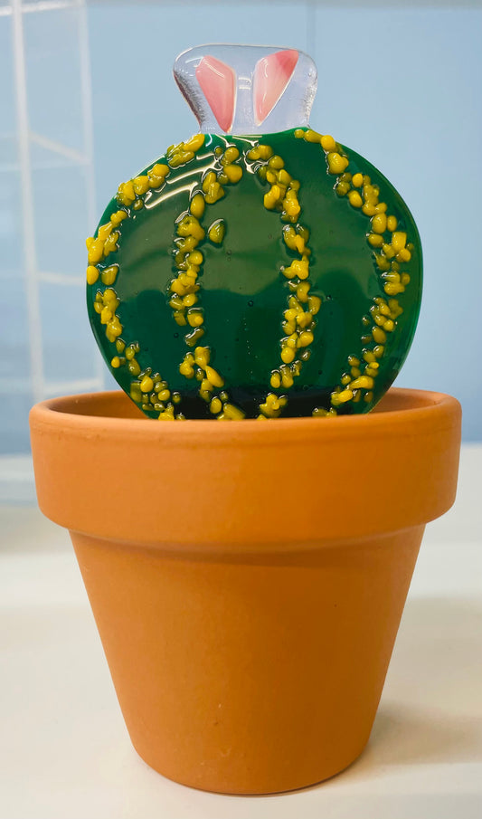 Glass Cactus