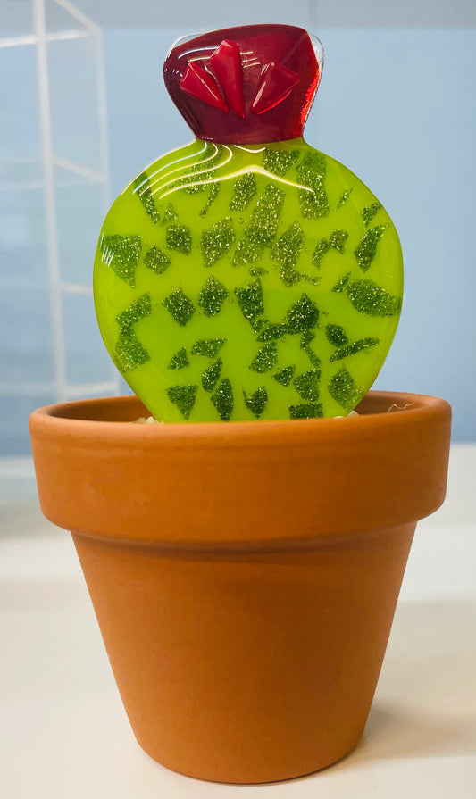 Glass Cactus