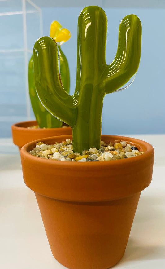 Glass Cactus