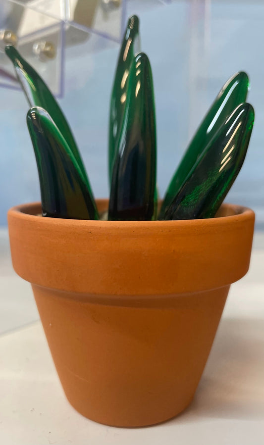 Glass Cactus