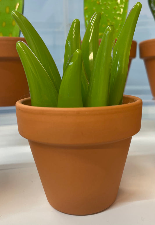 Glass Cactus