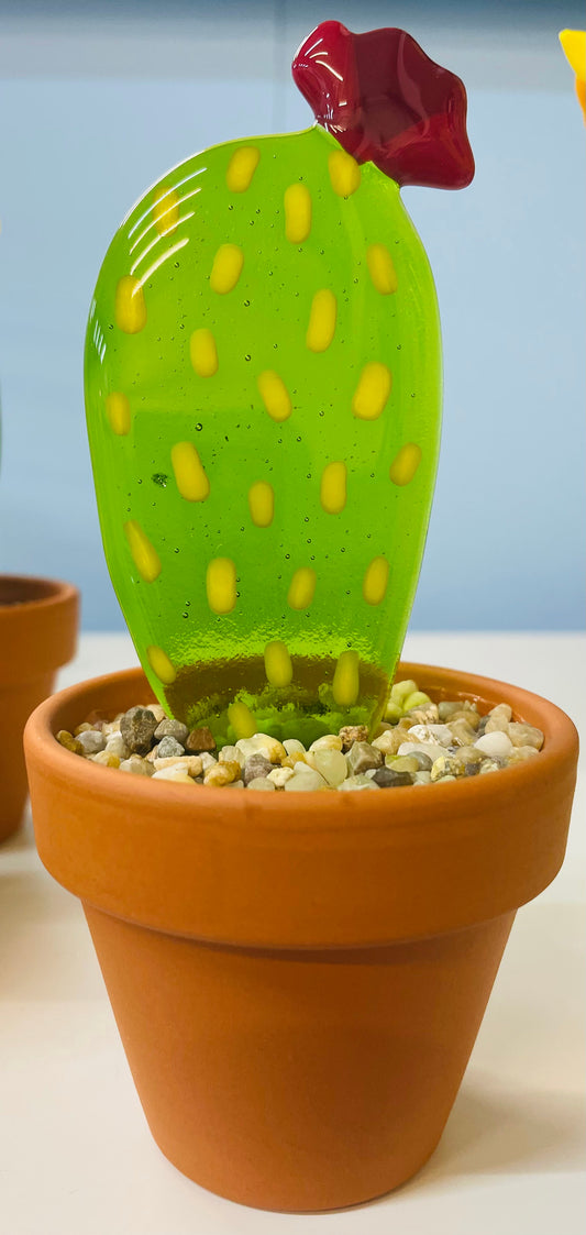 Glass Cactus