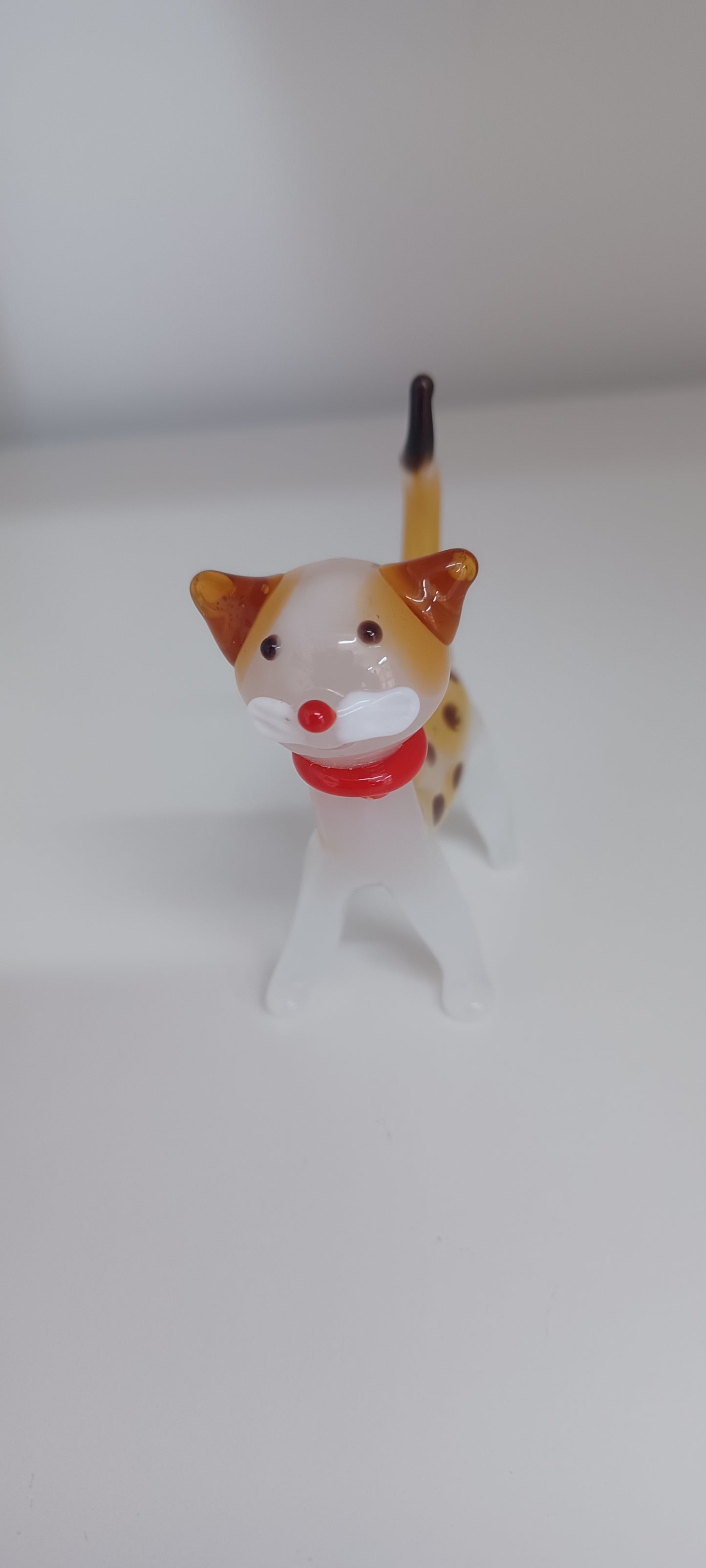 Glass Cat
