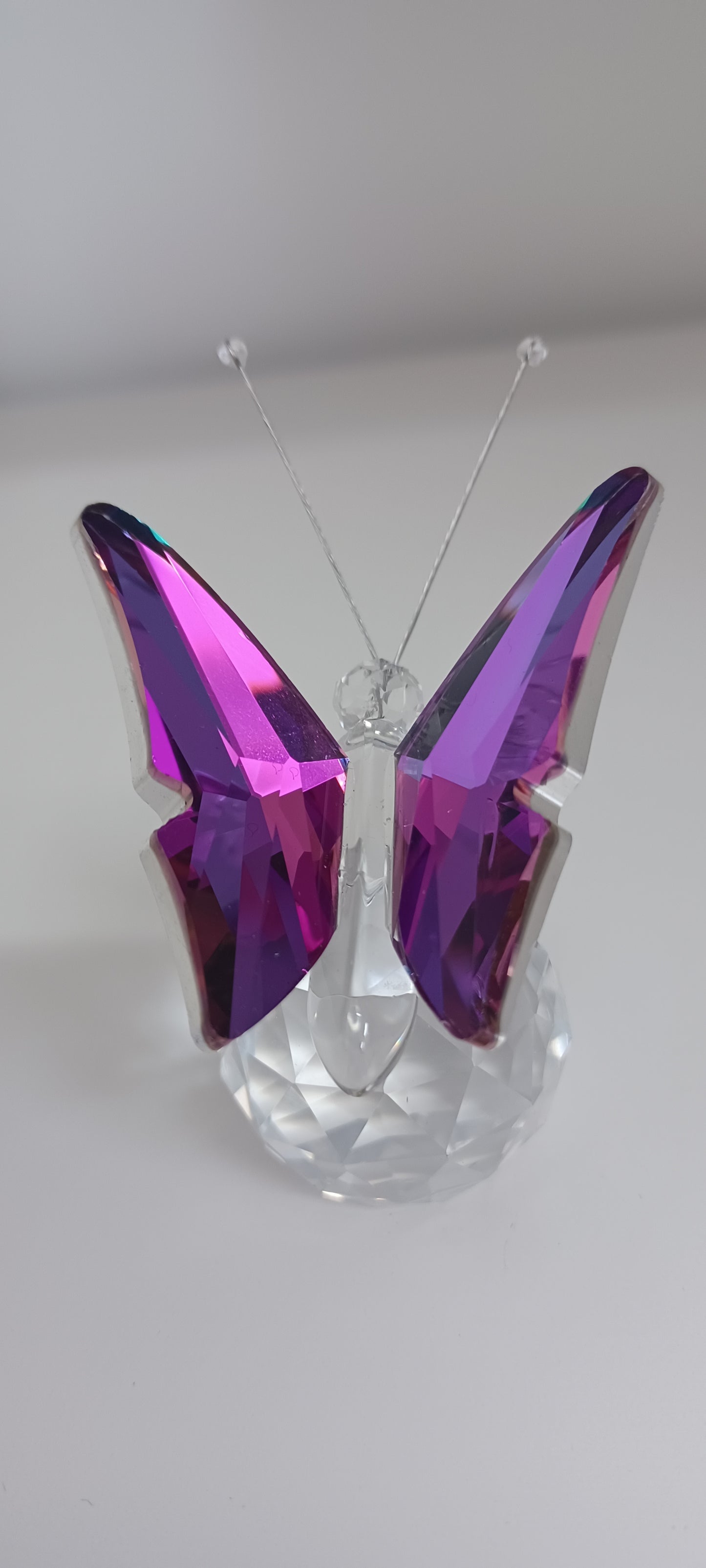 Glass Butterfly