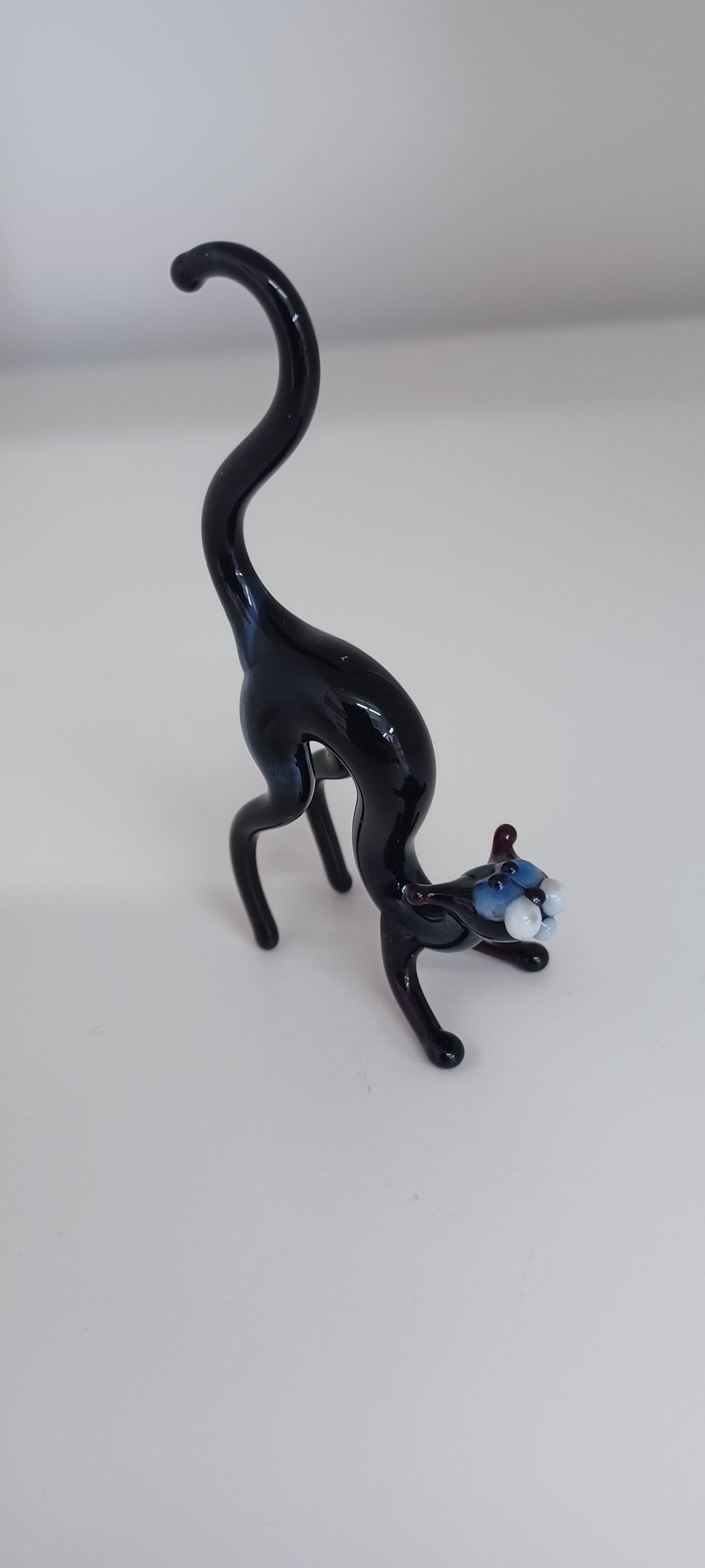Glass Cat
