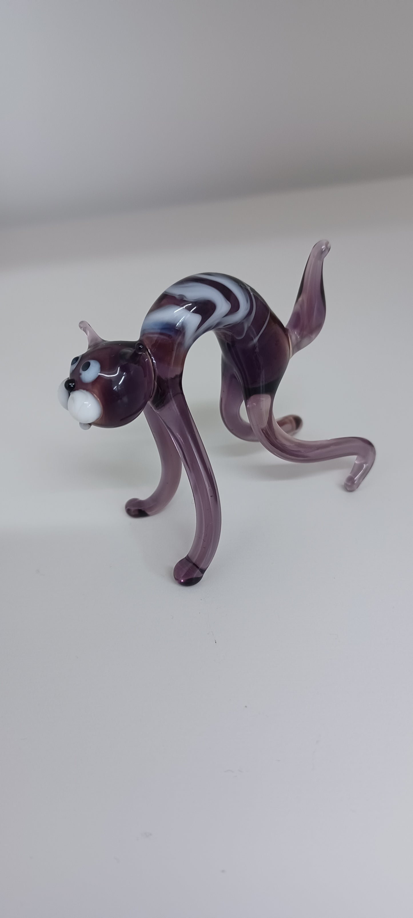 Glass Cat