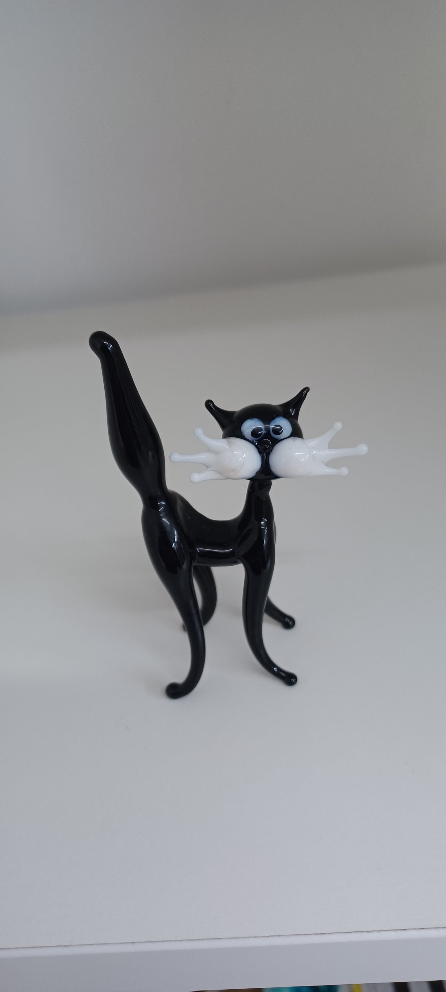Glass Cat
