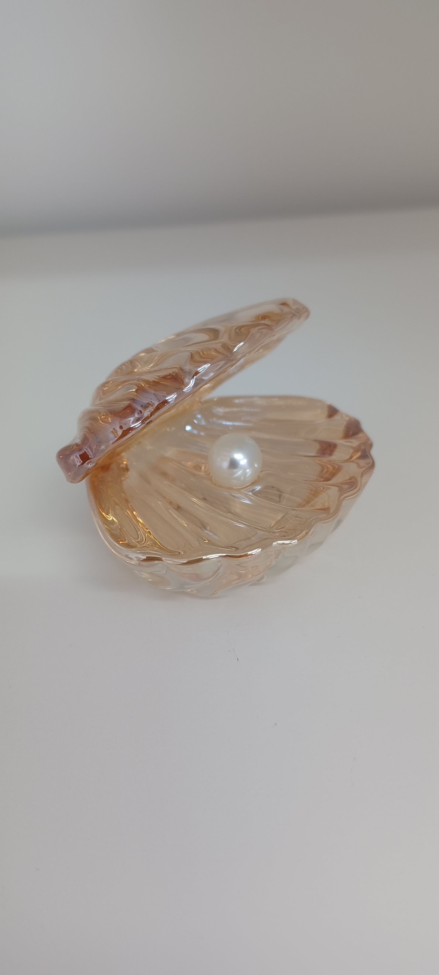 Glass Shell